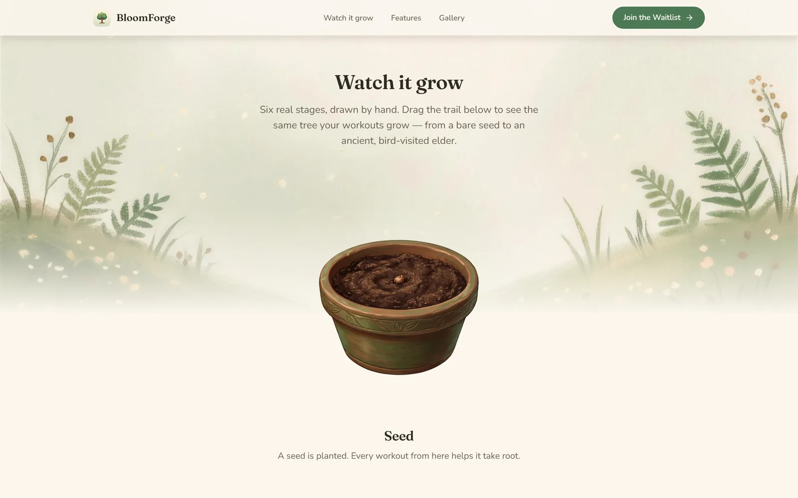 Watch it grow — six hand-drawn stages on a trail you drag, starting from the seed.